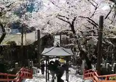 浄心寺(東京都)