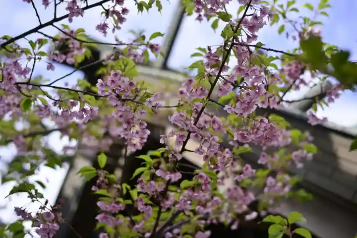 寒川神社の自然