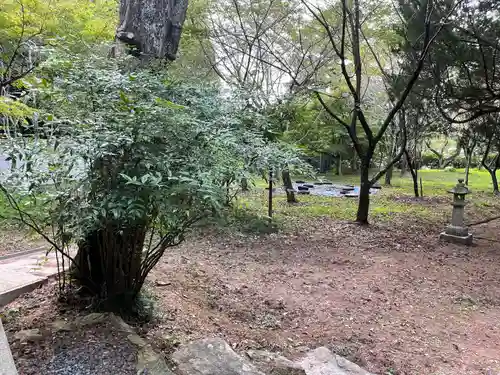 木戸神社の自然