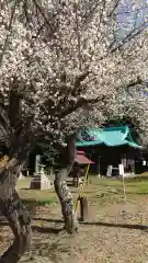 酒門神社(茨城県)