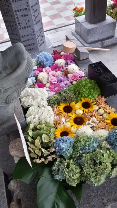 新川皇大神社の手水舎
