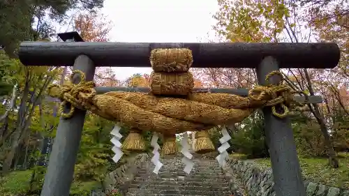 中富良野神社の鳥居