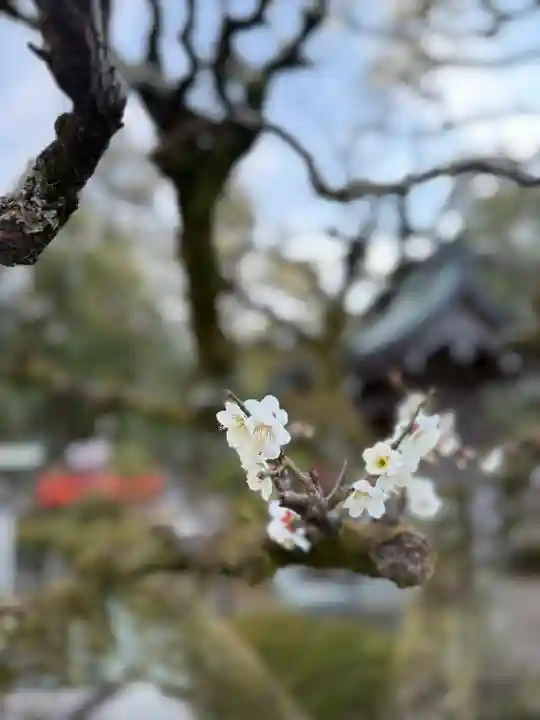 大井神社(静岡県)