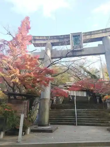 紅葉八幡宮の鳥居