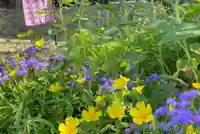 高司神社〜むすびの神の鎮まる社〜(福島県)