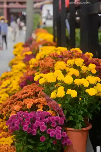 笠間稲荷神社(茨城県)