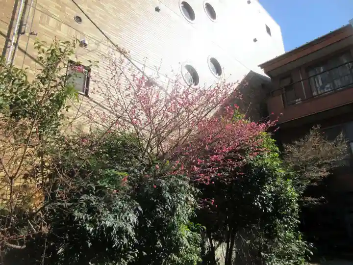 常瑞寺(東京都)