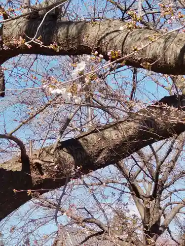 永福寺の庭園