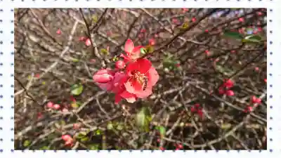 冠稲荷神社(群馬県)
