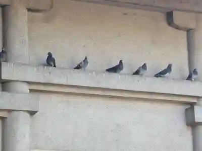 千住神社(東京都)