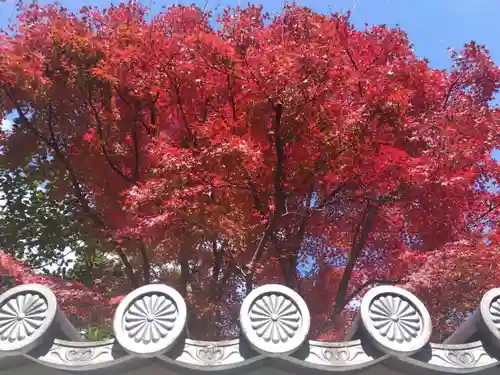 宝鏡寺(京都府)