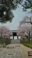 東郷寺(東京都)