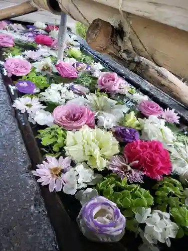 鳩森八幡神社の手水舎