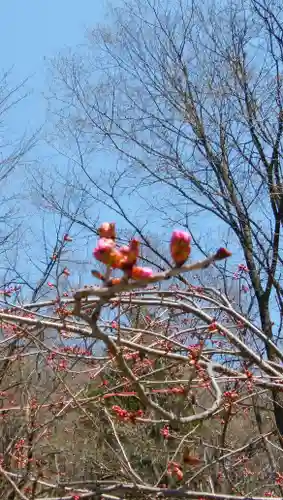 新得神社の自然