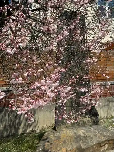 志賀理和氣神社(岩手県)