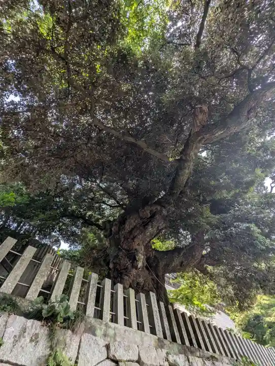 楽法寺(雨引観音)(茨城県)