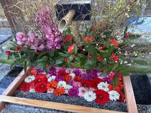 白山神社(新潟県)