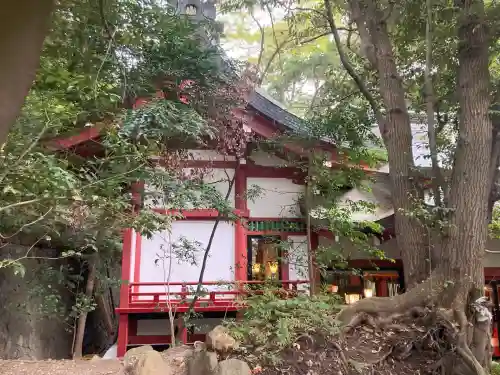 來宮神社(静岡県)