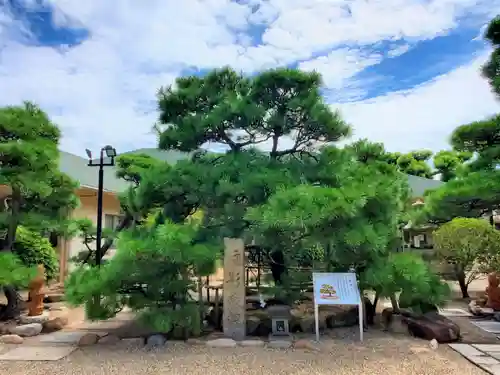 和田神社の庭園