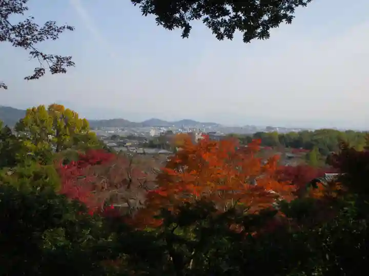 常寂光寺(京都府)