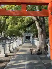 信太森神社（葛葉稲荷神社）(大阪府)