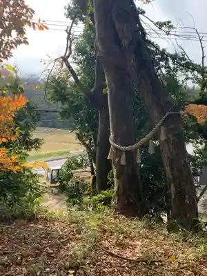 阿久津「田村神社」（郡山市阿久津町）旧社名：伊豆箱根三嶋三社(福島県)