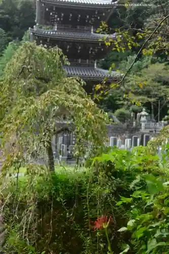 浄発願寺(神奈川県)