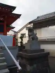 小谷野神社の狛犬