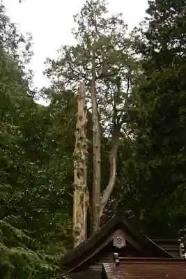 幣立神宮(熊本県)