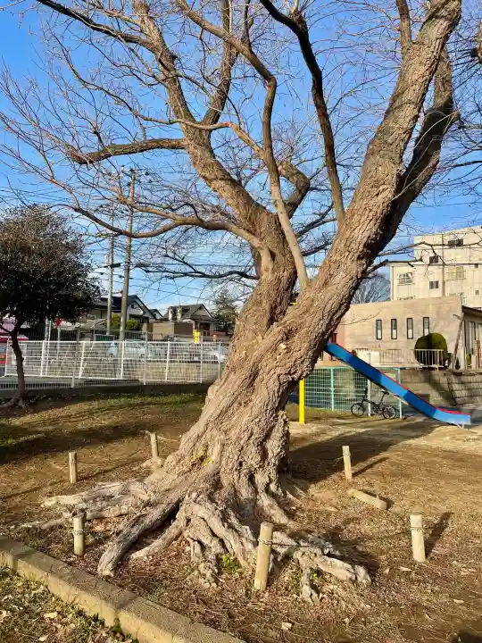 馬橋弁財天厳島神社の{uncategorized: "未分類", other: "その他", undefined: "問題あり", building: "その他建物", grave: "お墓", sacred_gate: "鳥居", guardian: "狛犬", statue: "像", buddha: "仏像", history: "歴史", nature: "自然", garden: "庭園", animal: "動物", pagoda: "塔", temizu: "手水舎", mountain_gate: "山門・神門", sanctuary: "本殿・本堂", subordinate: "末社・摂社", art: "芸術", scenery: "景色", jizo: "地蔵", ema: "絵馬", goshuin: "御朱印", omikuji: "おみくじ", items: "授与品その他", amulet: "お守り", goshuincho: "御朱印帳", eats: "食事", festival: "お祭り", votive_dance: "神楽", shichigosan: "七五三参", wedding: "結婚式", experience: "体験その他", initially: "初詣", around: "周辺", anti_infection: "感染症対策"}