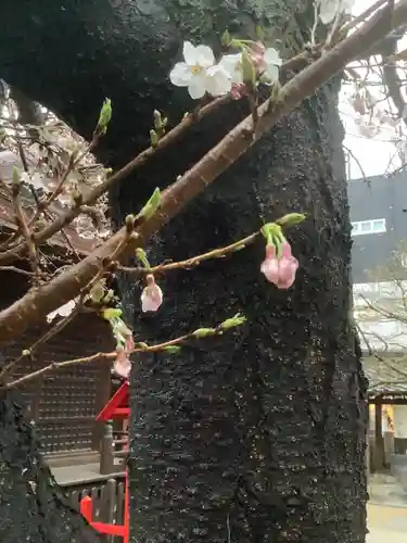 三輪神社の自然