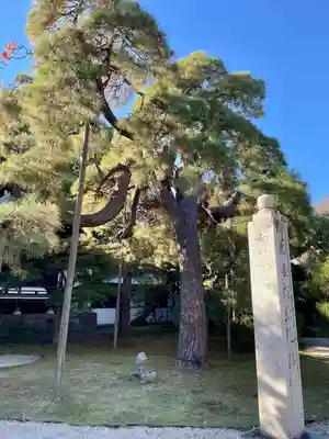 東漸寺(千葉県)