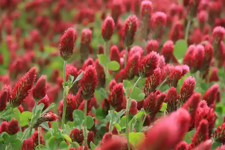 藤稲荷神社の周辺