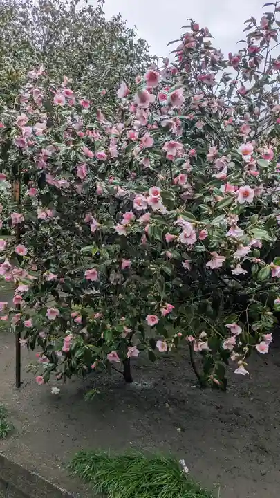 城南宮(京都府)