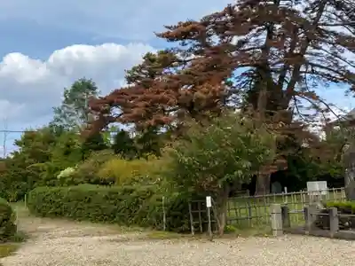 秋田県護國神社の自然