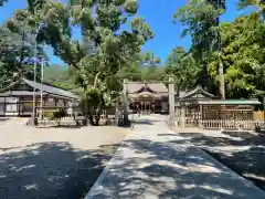 大麻比古神社(徳島県)