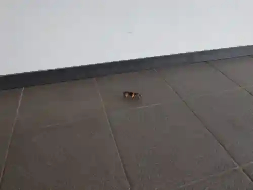 宗像大社中津宮(福岡県)