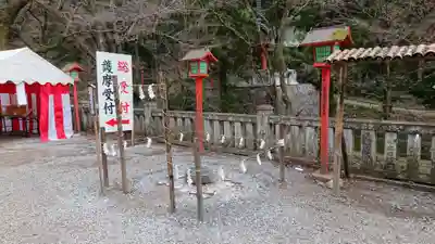 満願寺のその他建物