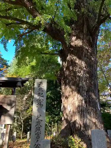 芝東照宮の自然