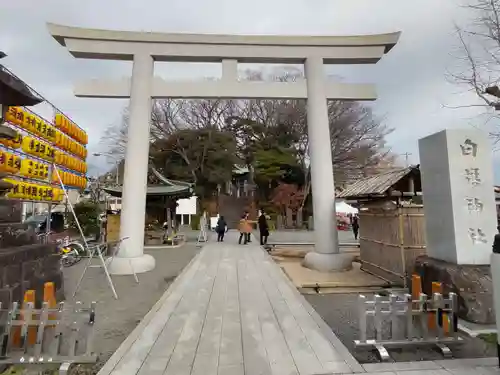 白旗神社の鳥居