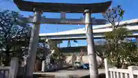 隅田川神社の鳥居