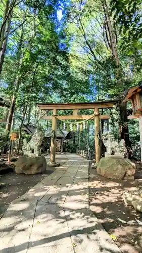 駒木諏訪神社の鳥居