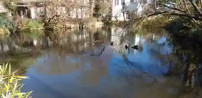 手児奈霊神堂(千葉県)