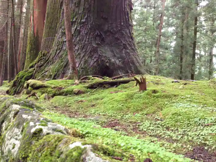 日光二荒山神社の自然