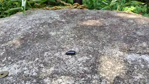 鷺森神社(京都府)