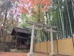 禅昌寺の鳥居