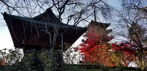 本土寺(千葉県)