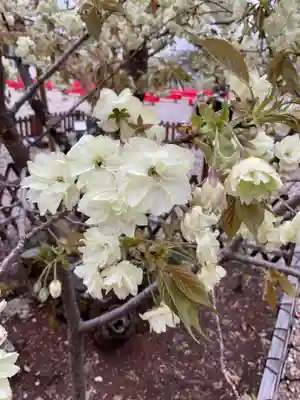 上地八幡宮(愛知県)