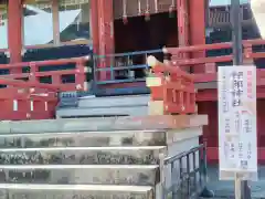 静岡浅間神社(静岡県)