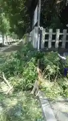 平野神社の建物その他